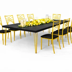 isadora-black-golden-chair-setup-rental-rentra